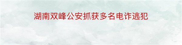 湖南双峰公安抓获多名电诈逃犯