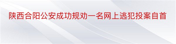 陕西合阳公安成功规劝一名网上逃犯投案自首