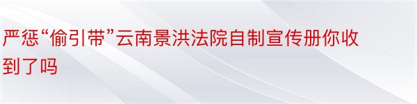 严惩“偷引带”云南景洪法院自制宣传册你收到了吗