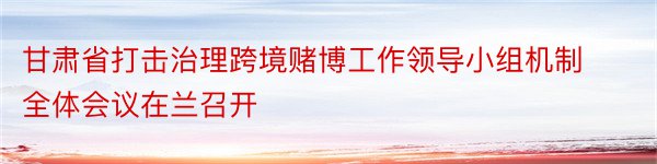 甘肃省打击治理跨境赌博工作领导小组机制全体会议在兰召开