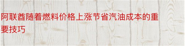 阿联酋随着燃料价格上涨节省汽油成本的重要技巧