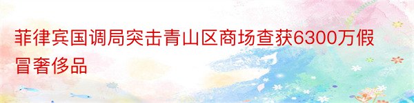 菲律宾国调局突击青山区商场查获6300万假冒奢侈品