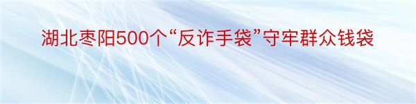 湖北枣阳500个“反诈手袋”守牢群众钱袋