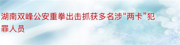 湖南双峰公安重拳出击抓获多名涉“两卡”犯罪人员