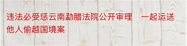 违法必受惩云南勐腊法院公开审理​一起运送他人偷越国境案