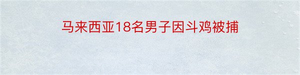 马来西亚18名男子因斗鸡被捕