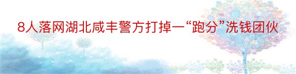 8人落网湖北咸丰警方打掉一“跑分”洗钱团伙