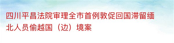 四川平昌法院审理全市首例敦促回国滞留缅北人员偷越国（边）境案