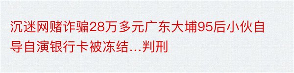 沉迷网赌诈骗28万多元广东大埔95后小伙自导自演银行卡被冻结…判刑