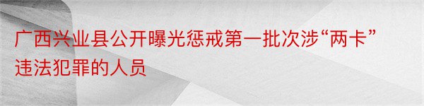 广西兴业县公开曝光惩戒第一批次涉“两卡”违法犯罪的人员