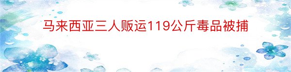 马来西亚三人贩运119公斤毒品被捕