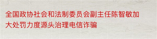 全国政协社会和法制委员会副主任陈智敏加大处罚力度源头治理电信诈骗