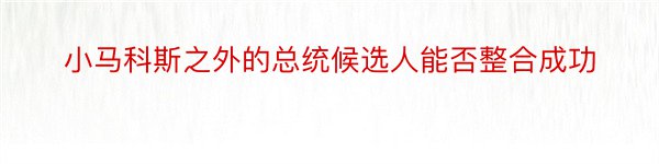 小马科斯之外的总统候选人能否整合成功