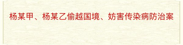 杨某甲、杨某乙偷越国境、妨害传染病防治案