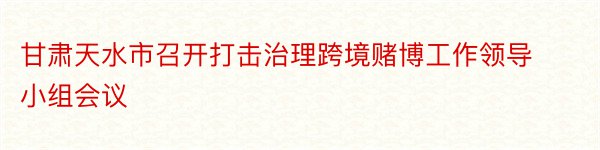 甘肃天水市召开打击治理跨境赌博工作领导小组会议