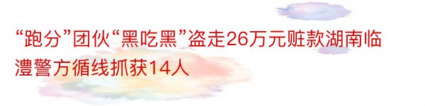 “跑分”团伙“黑吃黑”盗走26万元赃款湖南临澧警方循线抓获14人