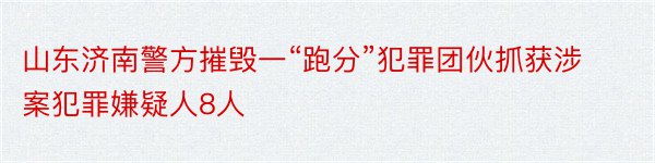 山东济南警方摧毁一“跑分”犯罪团伙抓获涉案犯罪嫌疑人8人