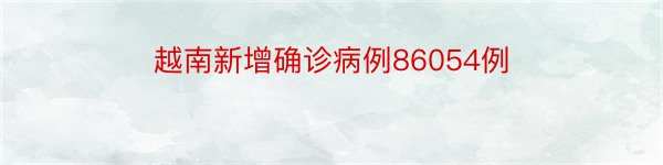 越南新增确诊病例86054例