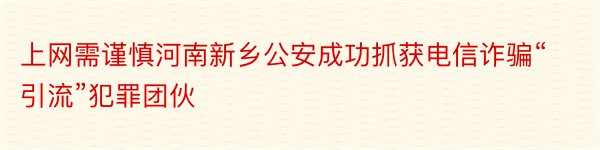 上网需谨慎河南新乡公安成功抓获电信诈骗“引流”犯罪团伙