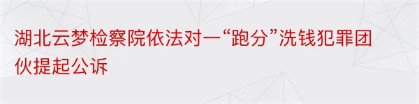 湖北云梦检察院依法对一“跑分”洗钱犯罪团伙提起公诉