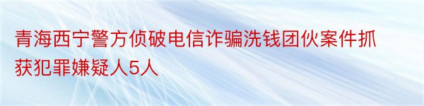 青海西宁警方侦破电信诈骗洗钱团伙案件抓获犯罪嫌疑人5人