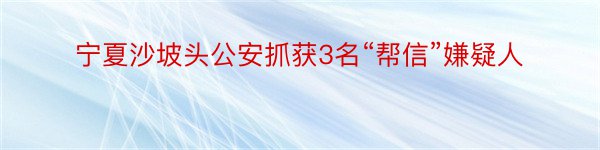 宁夏沙坡头公安抓获3名“帮信”嫌疑人