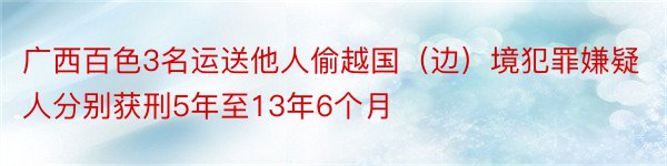 广西百色3名运送他人偷越国（边）境犯罪嫌疑人分别获刑5年至13年6个月