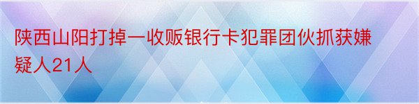 陕西山阳打掉一收贩银行卡犯罪团伙抓获嫌疑人21人