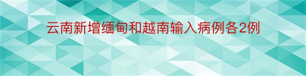 云南新增缅甸和越南输入病例各2例