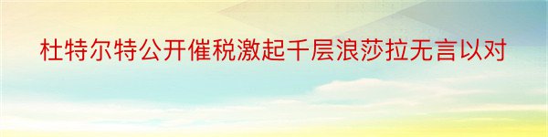 杜特尔特公开催税激起千层浪莎拉无言以对