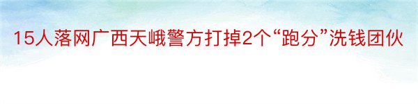 15人落网广西天峨警方打掉2个“跑分”洗钱团伙