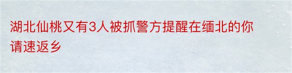 湖北仙桃又有3人被抓警方提醒在缅北的你请速返乡