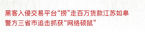 黑客入侵交易平台“捞”走百万货款江苏如皋警方三省市追击抓获“网络硕鼠”