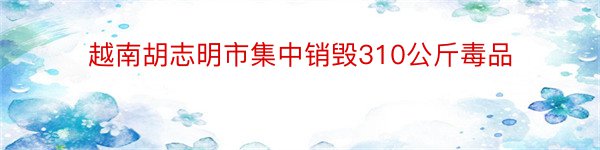 越南胡志明市集中销毁310公斤毒品