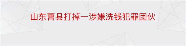 山东曹县打掉一涉嫌洗钱犯罪团伙