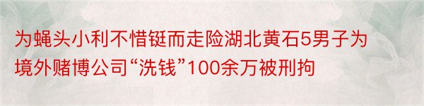 为蝇头小利不惜铤而走险湖北黄石5男子为境外赌博公司“洗钱”100余万被刑拘