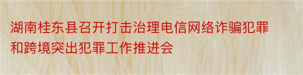 湖南桂东县召开打击治理电信网络诈骗犯罪和跨境突出犯罪工作推进会