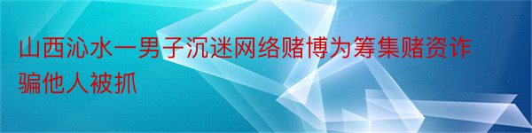 山西沁水一男子沉迷网络赌博为筹集赌资诈骗他人被抓