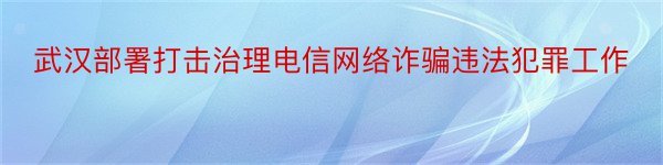 武汉部署打击治理电信网络诈骗违法犯罪工作