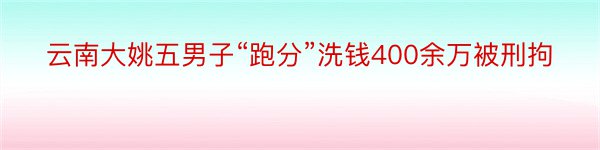 云南大姚五男子“跑分”洗钱400余万被刑拘