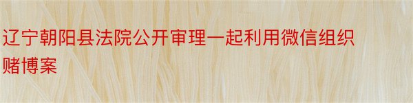 辽宁朝阳县法院公开审理一起利用微信组织赌博案