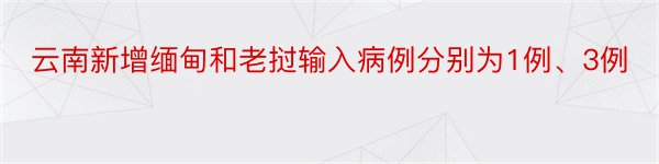 云南新增缅甸和老挝输入病例分别为1例、3例