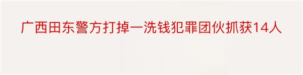 广西田东警方打掉一洗钱犯罪团伙抓获14人