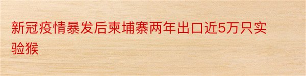 新冠疫情暴发后柬埔寨两年出口近5万只实验猴