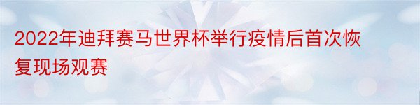 2022年迪拜赛马世界杯举行疫情后首次恢复现场观赛