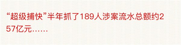 “超级捕快”半年抓了189人涉案流水总额约257亿元……