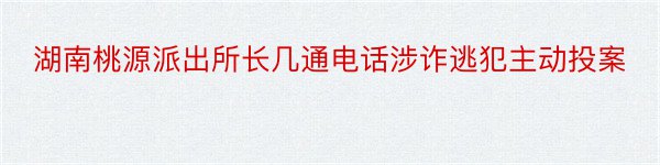 湖南桃源派出所长几通电话涉诈逃犯主动投案