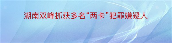 湖南双峰抓获多名“两卡”犯罪嫌疑人