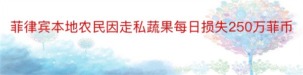 菲律宾本地农民因走私蔬果每日损失250万菲币