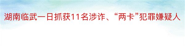 湖南临武一日抓获11名涉诈、“两卡”犯罪嫌疑人